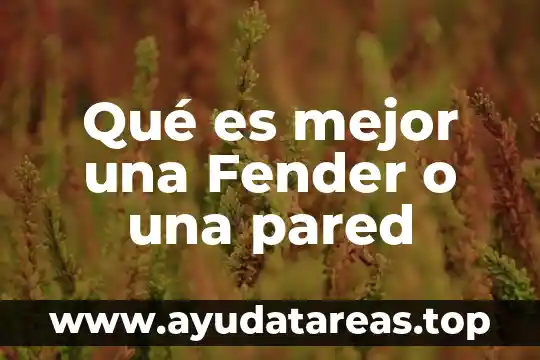Argumento que justifique que es mejor saber palabras nuevas 5 Qué es mejor una Fender o una pared