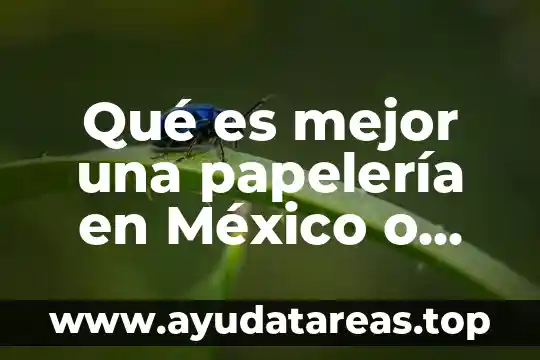 Que es una opinion de estados financieros mexico 5 Qué es mejor una papelería en México o Estados Unidos