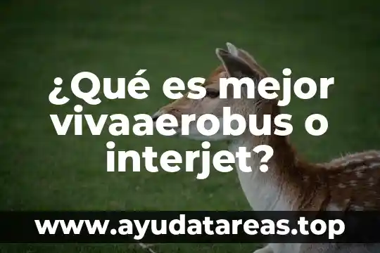 ¿Qué es mejor vivaaerobus o interjet?