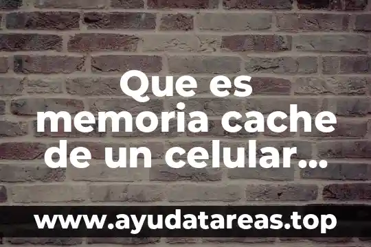 Que es memoria cache de un celular puedo eliminar