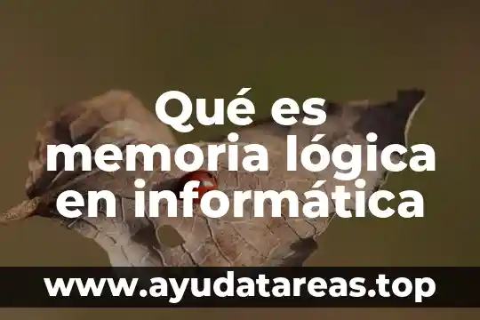 Qué es memoria lógica en informática