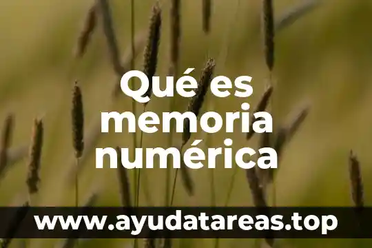 Qué es memoria numérica