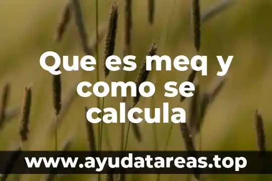 Que es meq y como se calcula