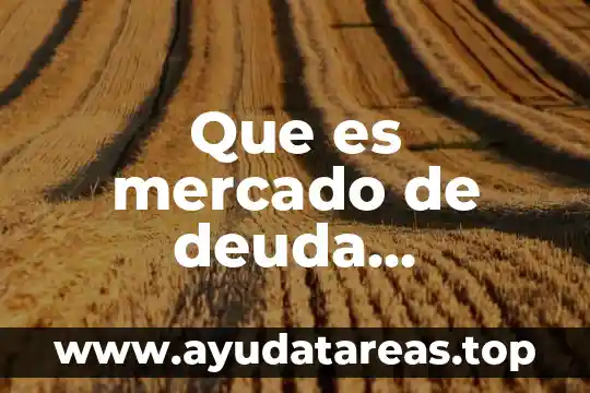 Que es mercado de deuda concepto