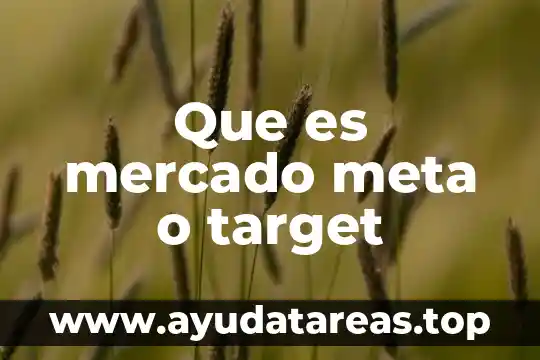 Que es mercado meta o target