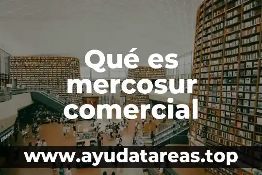 Rafael perez miranda que es el nombre comercial 4 Qué es mercosur comercial