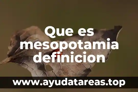 Que es mesopotamia definicion