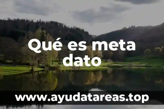 Tipos de dato que es fecha de inicio 5 Qué es meta dato