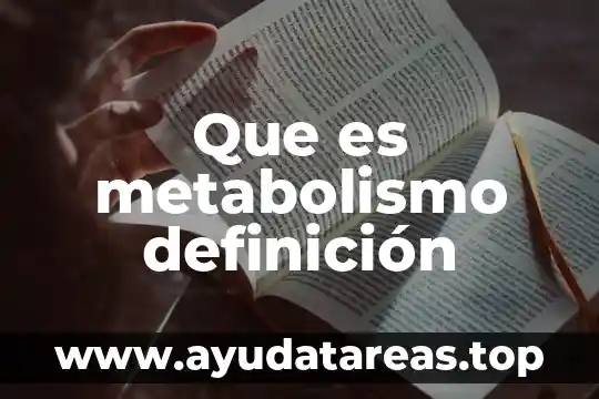 Que es metabolismo definición