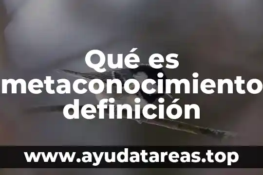 Qué es metaconocimiento definición