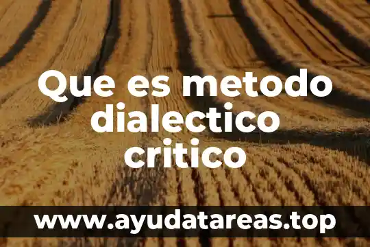 Que es metodo dialectico critico