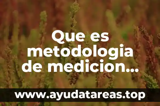 Que es metodologia de medicion para calidad ambiental