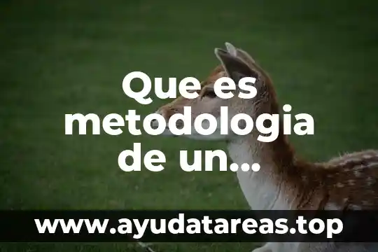 Que es metodologia de un laboratorio de quimica