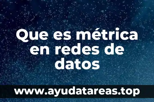 Que es métrica en redes de datos
