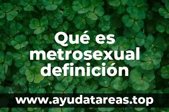 Qué es metrosexual definición
