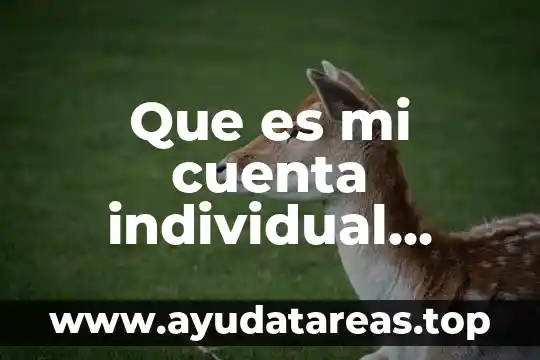 Que es mi cuenta individual infonavit