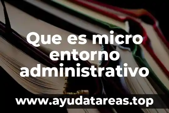 Que es micro entorno administrativo