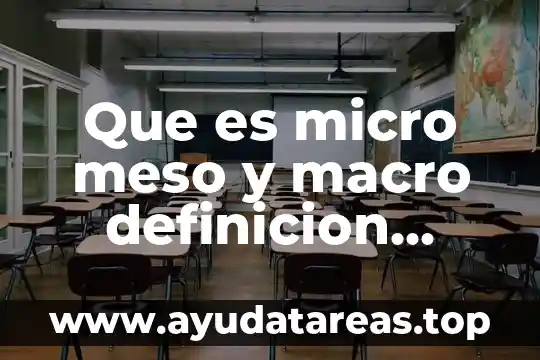 Que es micro meso y macro definicion objetiva