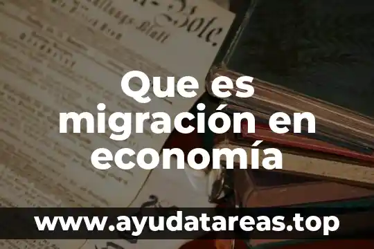 Que es migración en economía