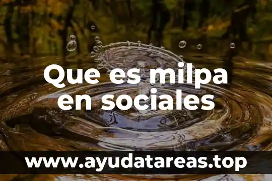 Que es milpa en sociales