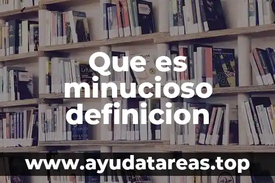 Que es minucioso definicion