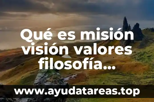 Que es vision en plan de vida y carrera 6 Qu茅 es misi贸n visi贸n valores filosof铆a objetivos pol铆tica
