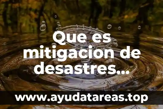 Inundación que es y características 7 Que es mitigacion de desastres concepto