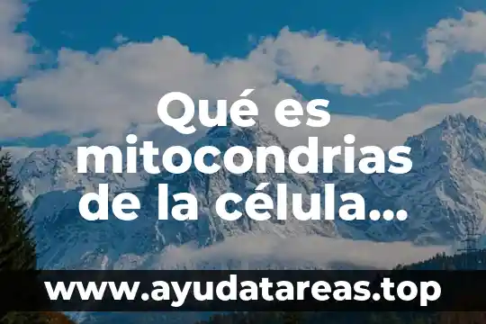Animal tucán que es lo que comen 4 Qué es mitocondrias de la célula animal y su función