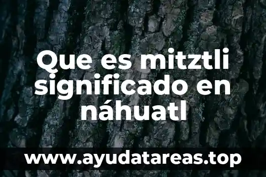 Que es un texto significado 5 Que es mitztli significado en náhuatl