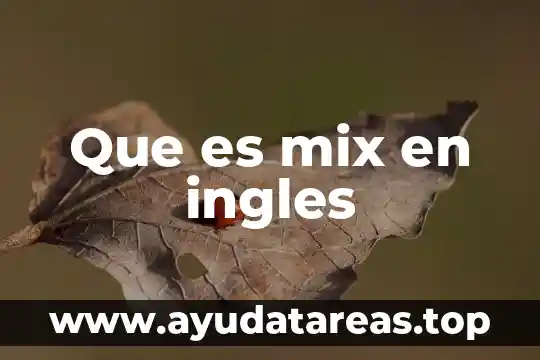 Qué es el marketing mix y cómo está compuesto 3 Que es mix en ingles