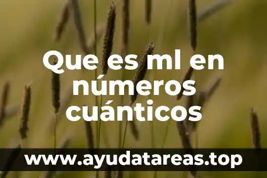 Que es una evidencia documental 6 Que es ml en números cuánticos