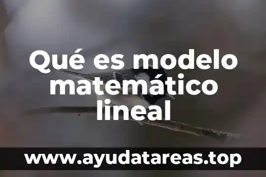 Que es una figura geometrica en termino matemático 5 Qué es modelo matemático lineal