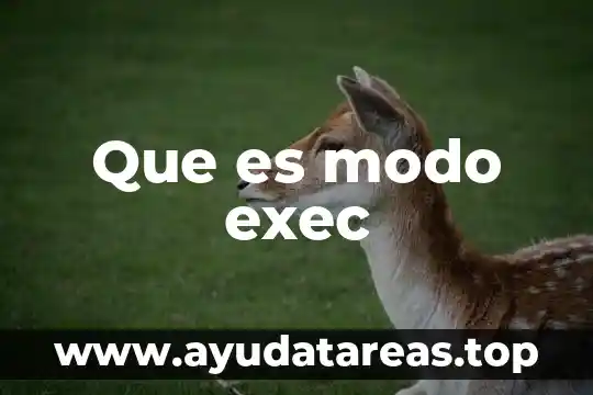 Que es modo exec