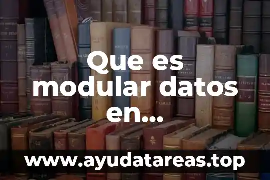Que es ser estupido dibujos animados 6 Que es modular datos en programacion