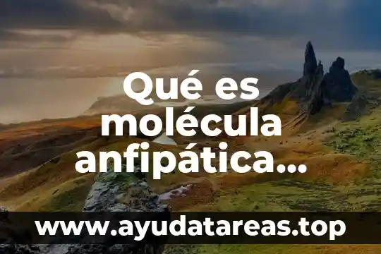 Que es un ppse biologia 7 Qué es molécula anfipática biología