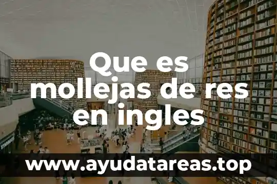 Que es concepto de cognado en ingles y español 4 Que es mollejas de res en ingles