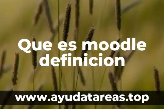 Qué es analogía definición y ejemplos 6 Que es moodle definicion