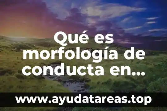 Que es la desarticulacion social en psicología 4 Qué es morfología de conducta en psicología