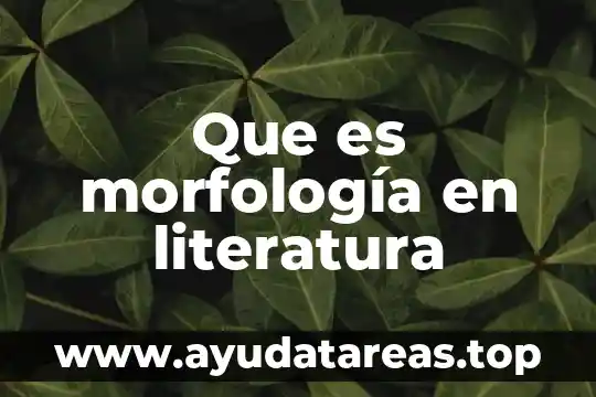 Que es morfología en literatura