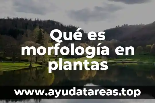 Qué es un síntoma y un signo en plantas 5 Qué es morfología en plantas