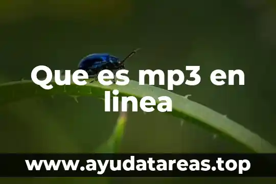 Que es la linea de investigacion en una tesis 4 Que es mp3 en linea