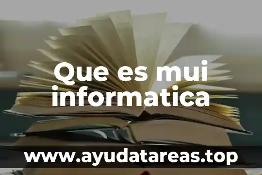 Que es stp en informatica 8 Que es mui informatica