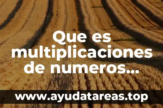 Que es multiplicaciones de numeros decimales