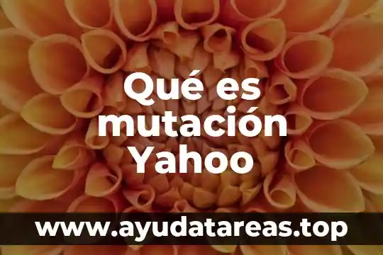 Que es principio de pascal yahoo 3 Qué es mutación Yahoo