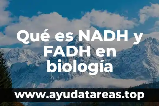 Qué es NADH y FADH en biología