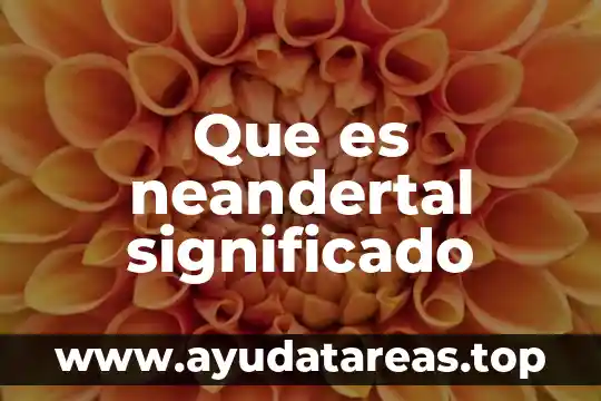 Que es una columna computada en sql 6 Que es neandertal significado