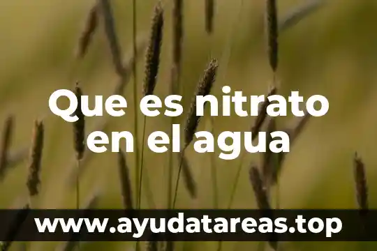 Heterogeneas y homogeneas que es el alcol con agua 5 Que es nitrato en el agua