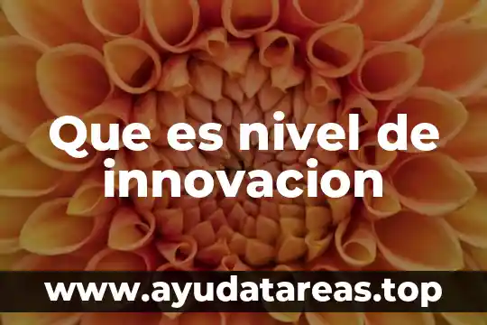 Innovación qué es concepto 8 Que es nivel de innovacion