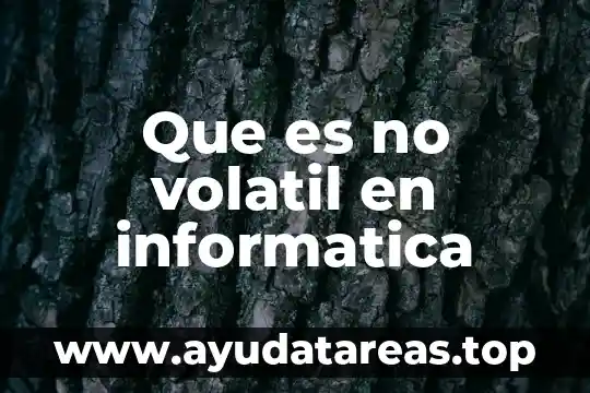 Que es re significado informatica 7 Que es no volatil en informatica