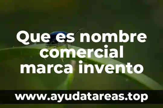 Que es nombre de ejemplar 3 Que es nombre comercial marca invento